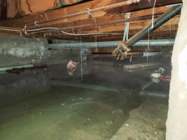 Water damage restoration insurance claims in Fort Bragg, CA