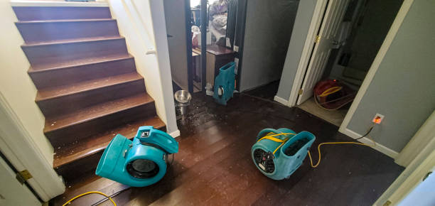 Best Carpet water damage restoration  in Fort Bragg, CA