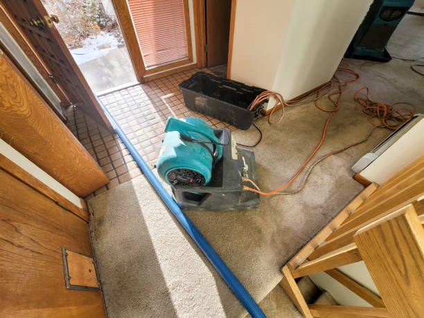 Best Fire Damage Restoration  in Fort Bragg, CA