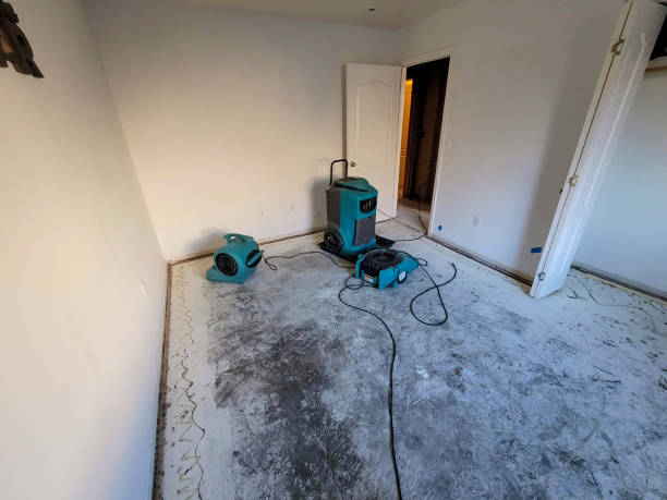 Best Flood restoration services  in Fort Bragg, CA