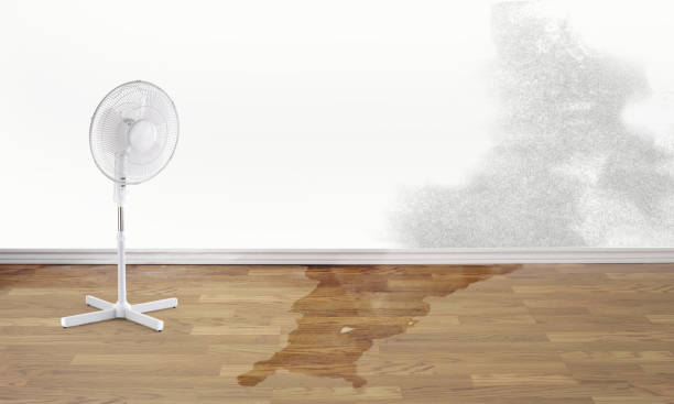 Professional Water damage restoration in Fort Bragg, CA