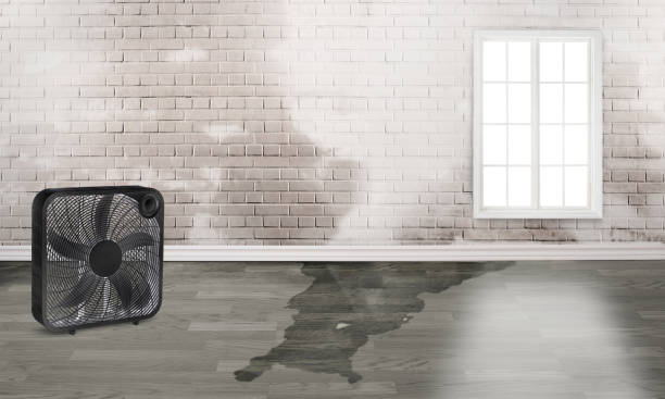 Best 24-hour water damage restoration  in Fort Bragg, CA