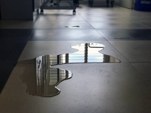 Best Water damage restoration near me  in Fort Bragg, CA