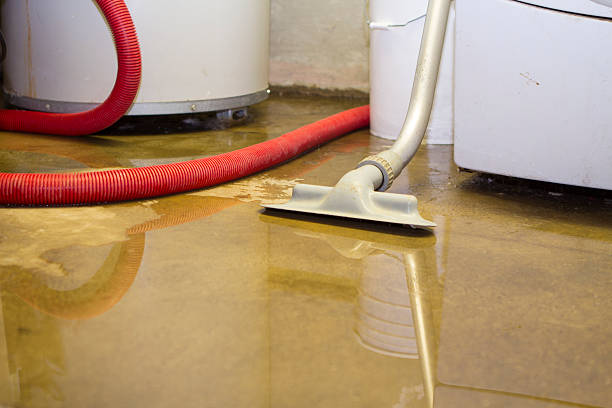 Reliable Fort Bragg, CA Water damage restoration Solutions